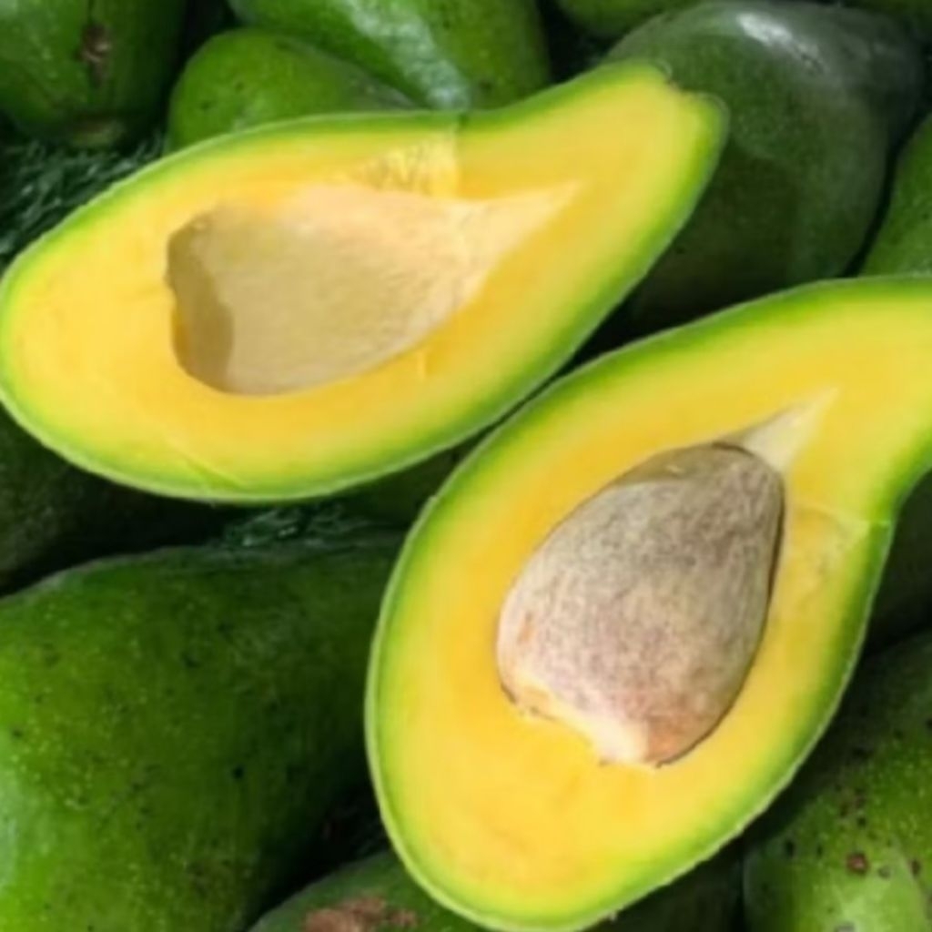 

ALPUKAT 1 KG / ALPUKAT SEGAR / ALPUKAT SUPER / ALPUKAT MANIS