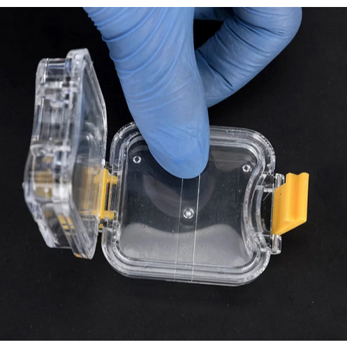 Kotak retainer gigi palsu bening