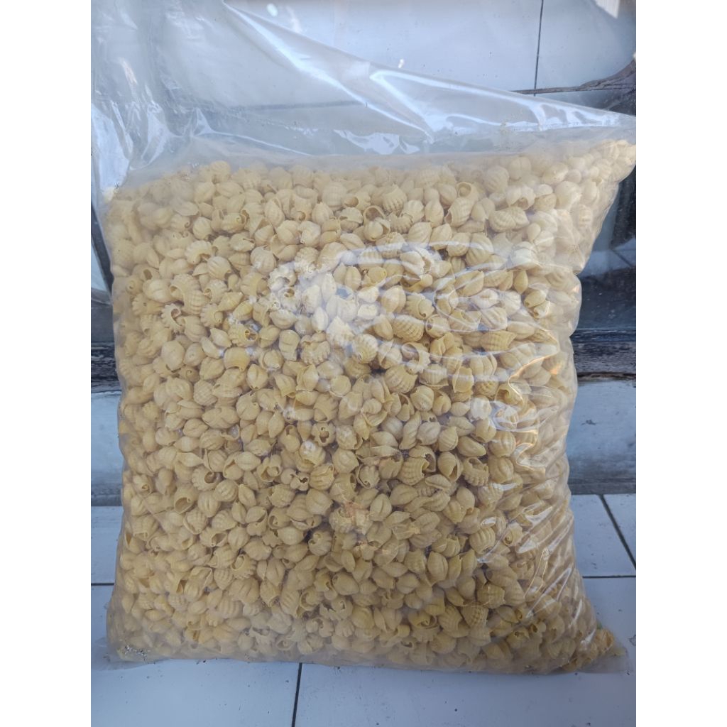 

Kerupuk keong mini mentah 1 kg