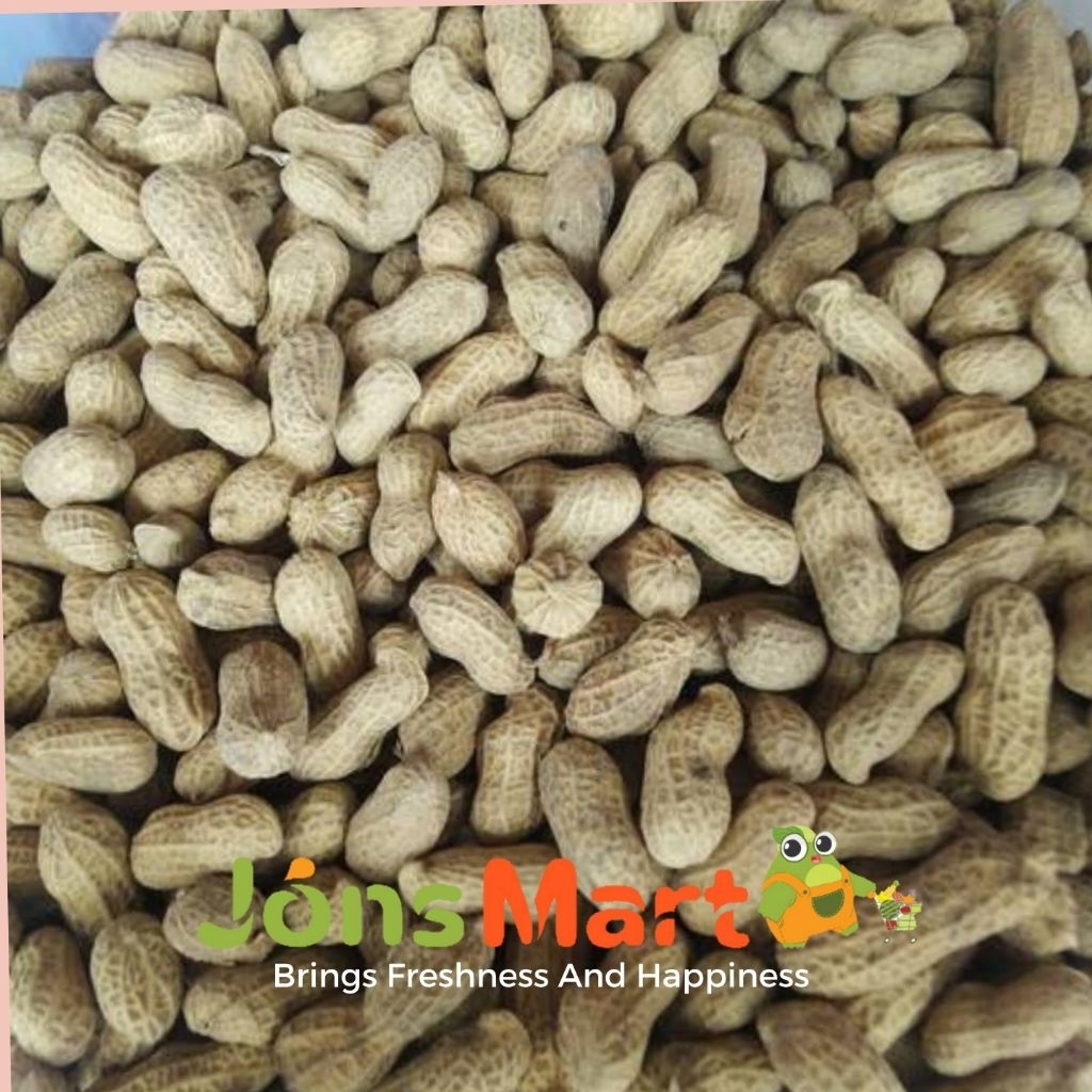 

KACANG KULIT OVEN ASIN GURIH 250GRAM / KACANG TANAH KULIT