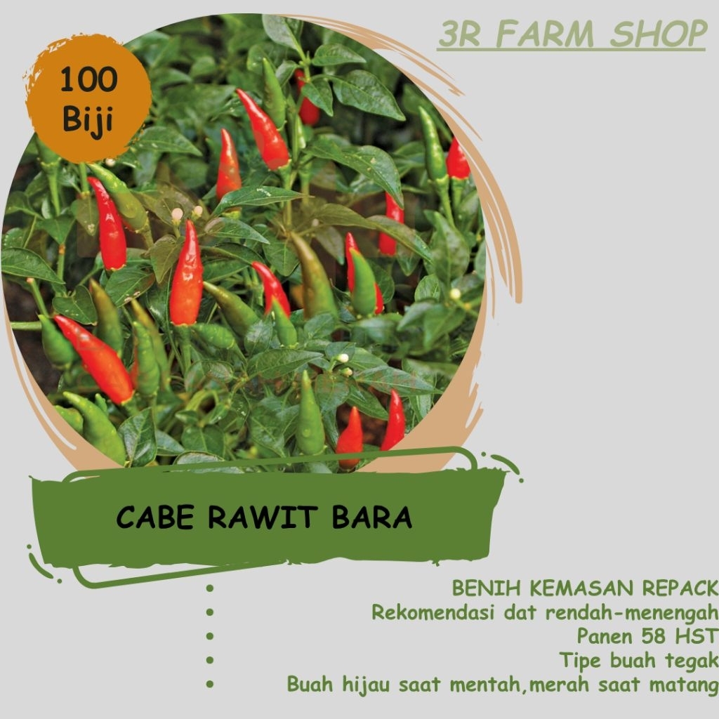 Benih Repack Cabe Rawit Hijau BARA isi 100 biji