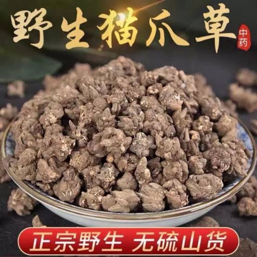 

100gr Herbal Mao Zhao Cao 猫爪草 Ranunculus Ternatus / Catclaw Buttercup / Radix Ranunculi Ternati