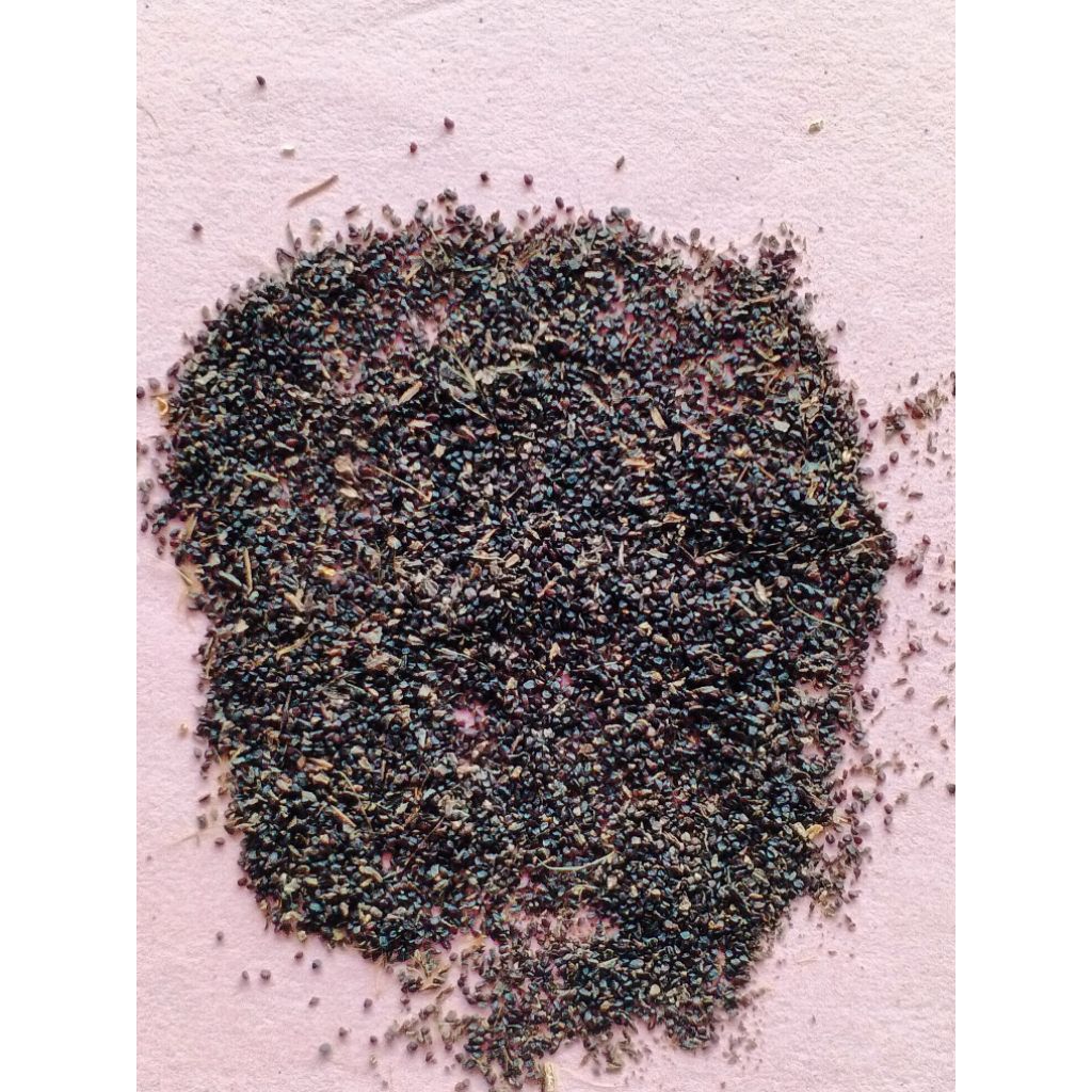 

Biji Jabon Merah (1000 biji) Full Biji Bersih Siap Semai