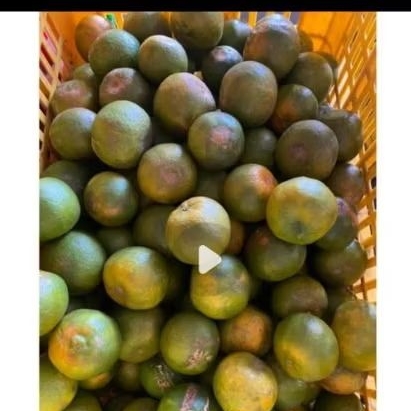 

JERUK KEPROK JUMBO 1KG