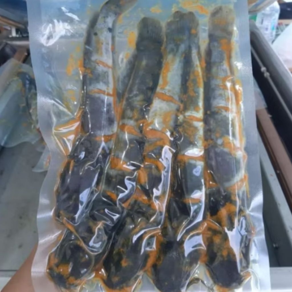 

Lele Marinasi Bumbu Siap Masak – Isi 3 Ekor