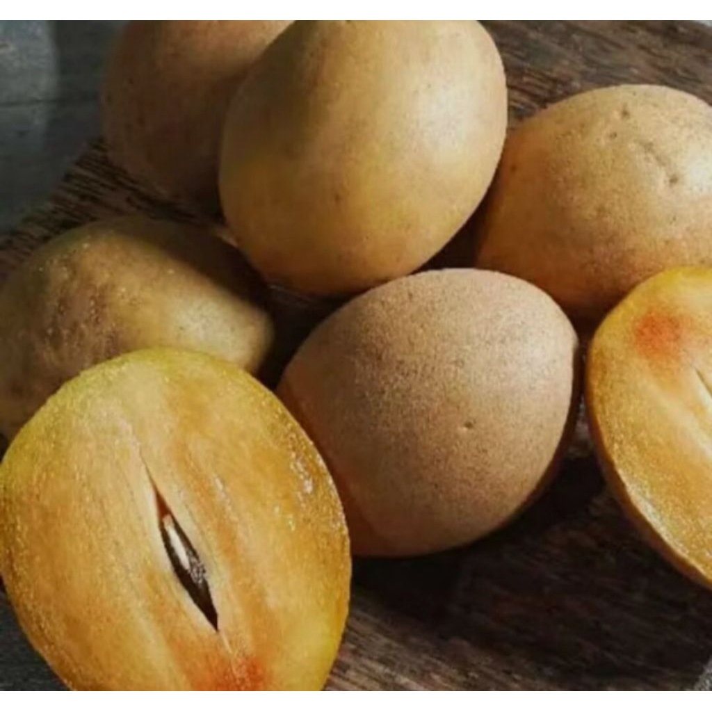 

Jual buah sawo madu super manis 1kg khas pangandaran