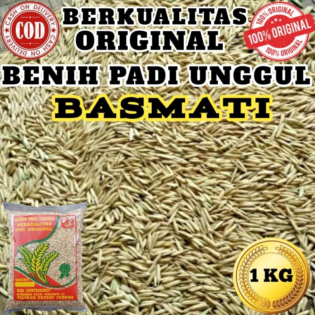 BENIH PADI UNGGUL BASMATI BERKUALITAS ORIGINAL KEMASAN 1KG