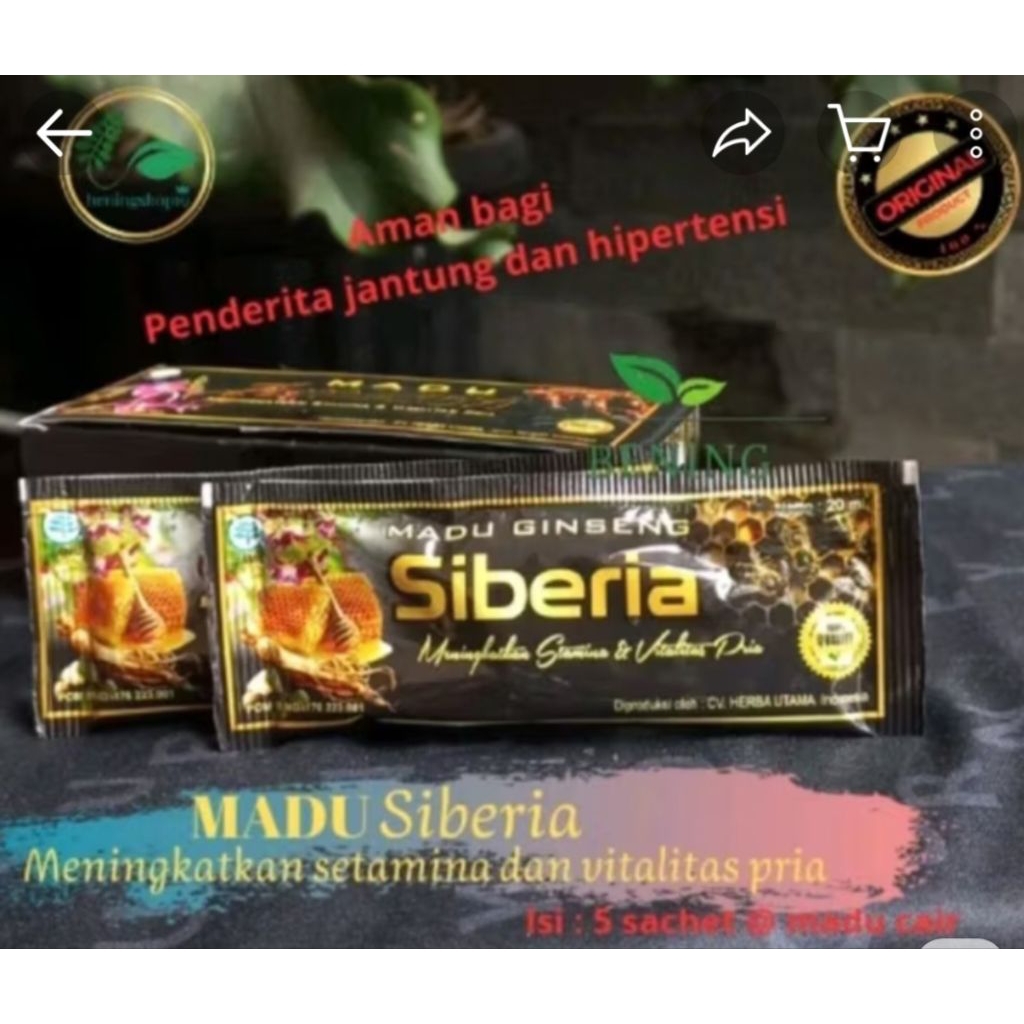 

MADUSIBERIA ISI 5 SACSET