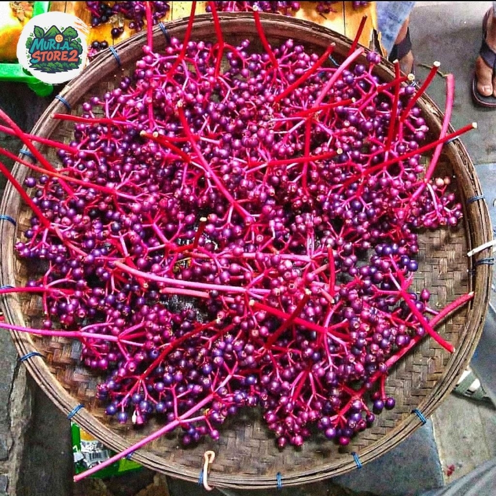 

500gr Buah Sinom Parijotho Asli Muria kaya Antioksidan Cocok untuk promil