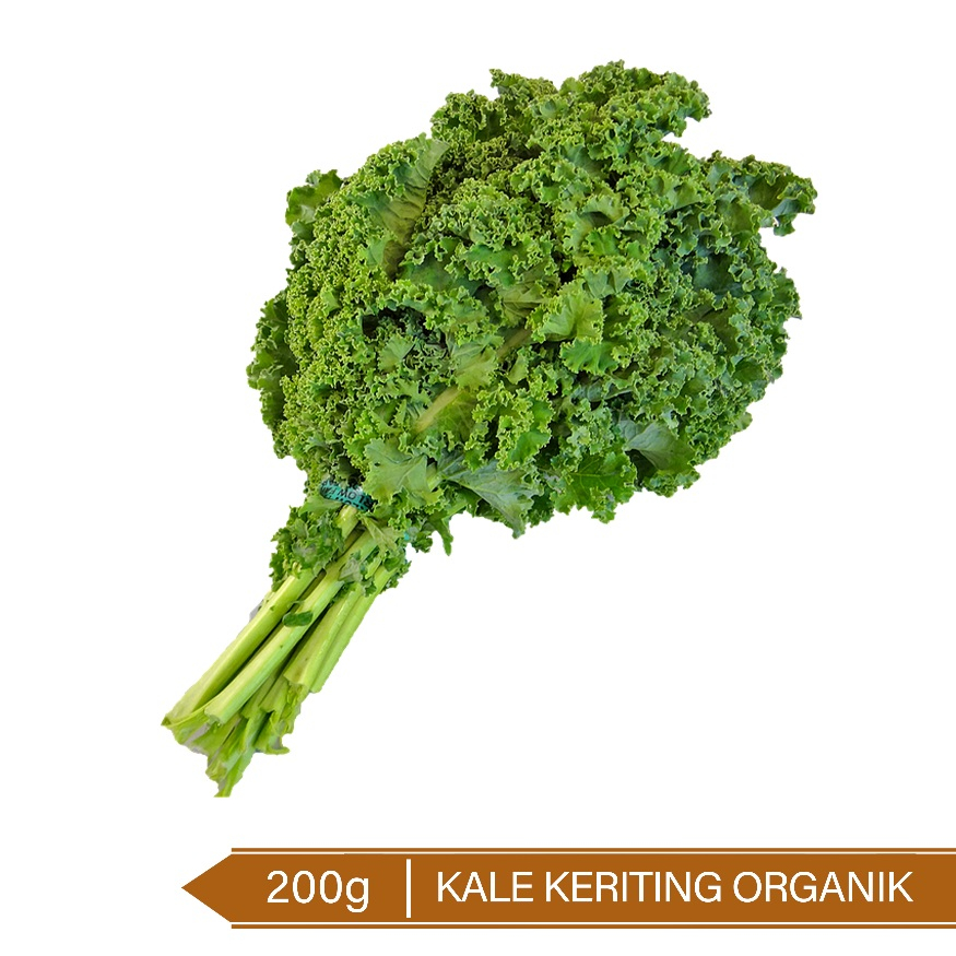 

Kale Keriting Organik 200g/ Organic Curly Kale 200g