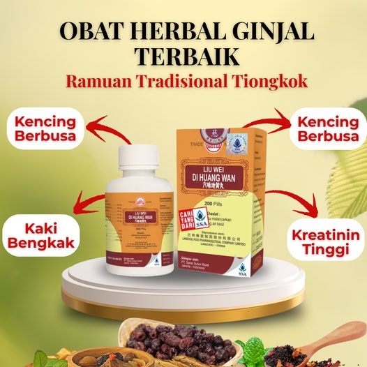 LANZHOU LIU WEI DI HUANG WAN / OBAT GINJAL CINA Liu Wei Di Huang Wan – Obat Herbal Ginjal Terbaik da