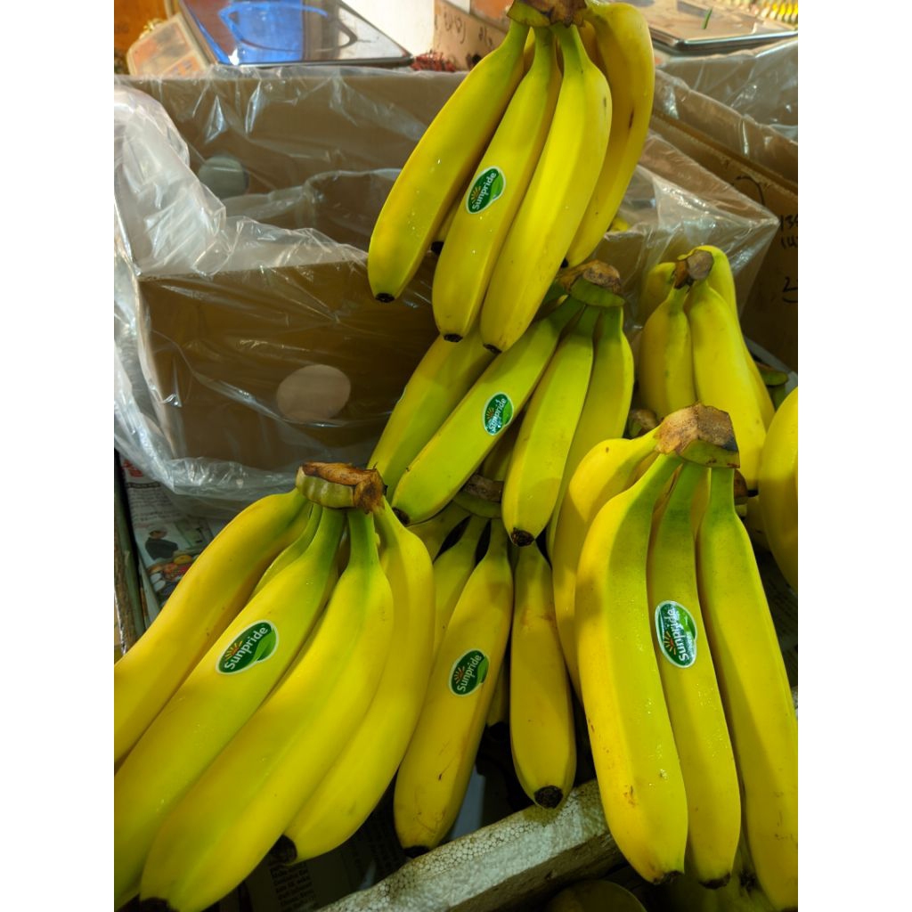 

pisang cavendis