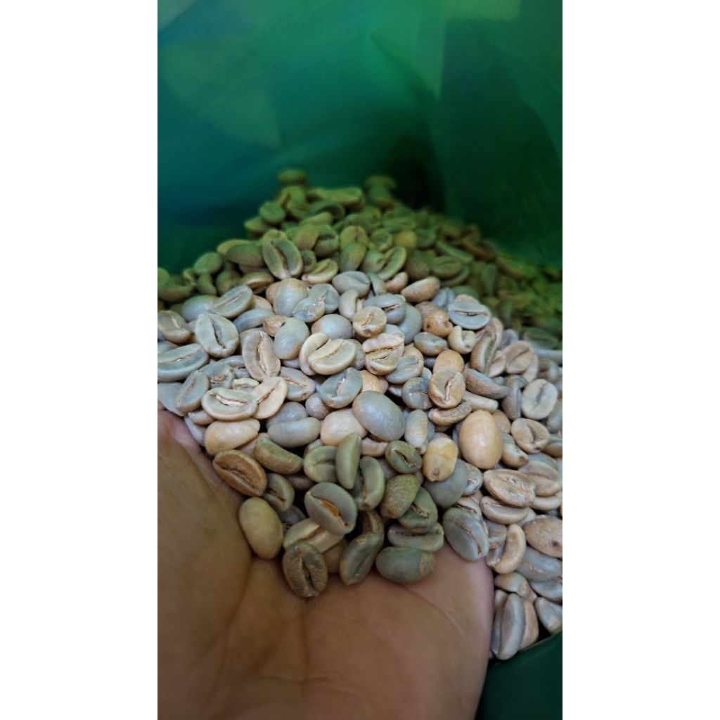 

GREEN BEANS KOPI ARABIKA CIKOLE NATURAL ANAEROBIC SPECIALTY 1kg