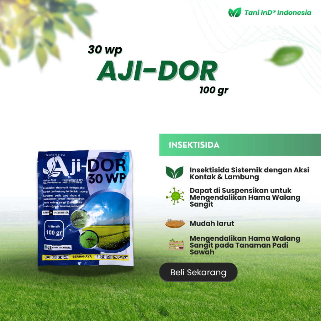 AJIDOR 30 WP Insektisida 100 gram untuk mengendalikan hama walang sangit pada tanaman padi sawah