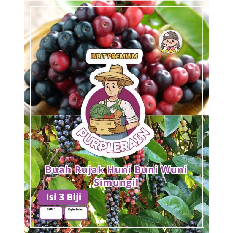 Bibit Premium Buah Rujak Huni Buni Wuni Simungil | Biji Benih Buah Rujak Huni Buni Wuni Simungi | Bu