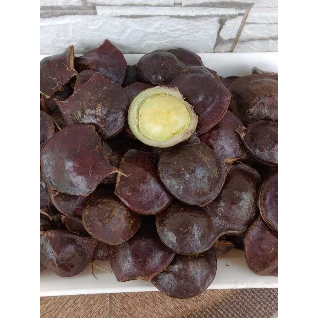 

Jengkol Muda Golotok Sama cangkang 1 kg