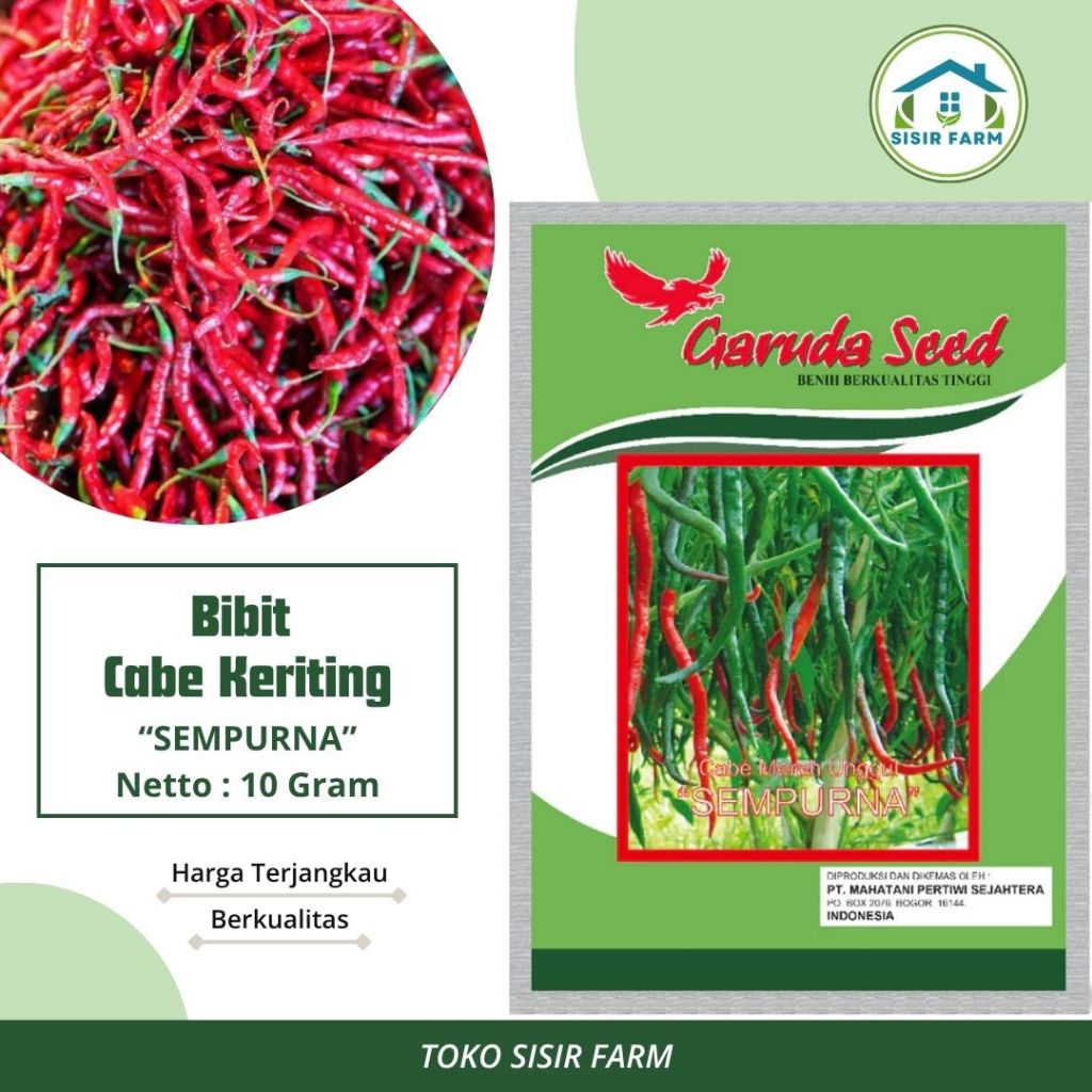 Benih Cabe Keriting Bibit Cabe Keriting Sempurna 10 Gram Garuda Seed