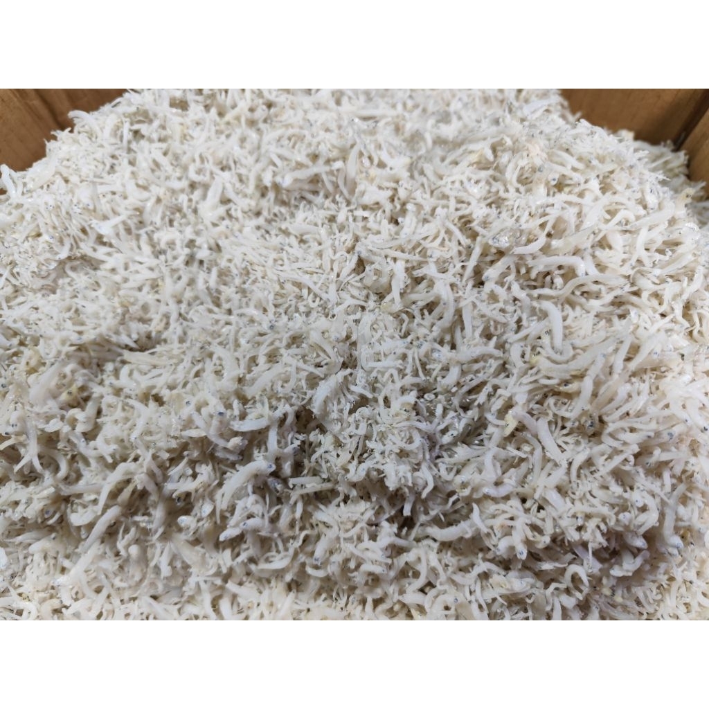 

Teri Medan Perkilo / teri nasi