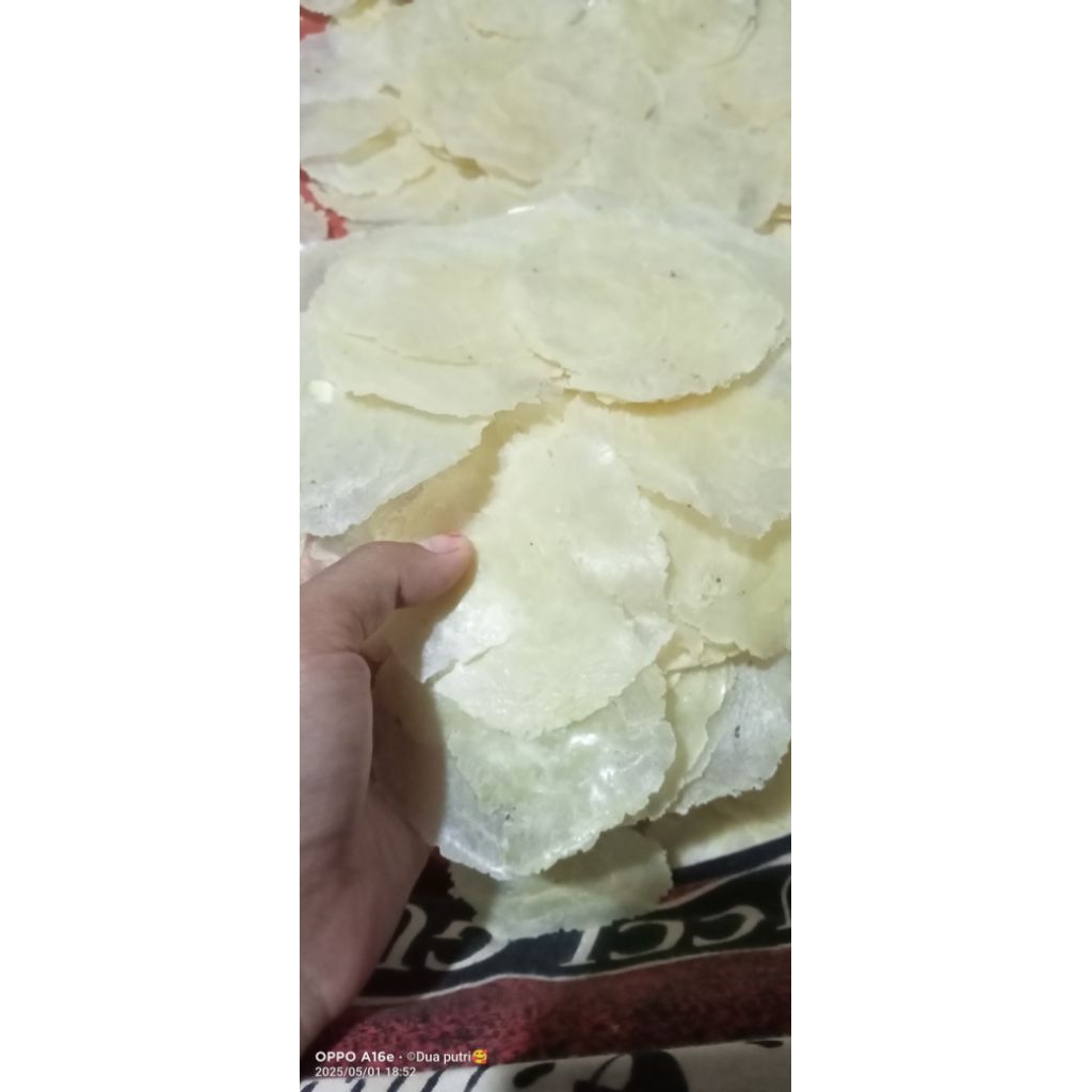 

EMPING BELINJO TIPIS BIJI 3(LB)