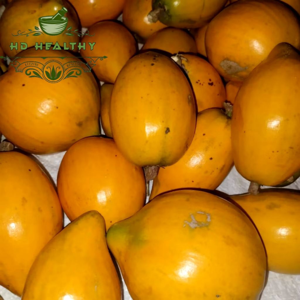 

Buah alkesah sawo mentega segar 1kg sawo belanda mentah