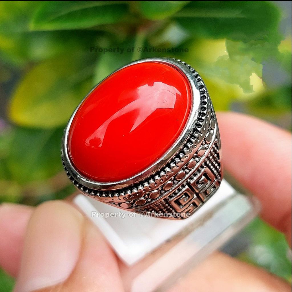 Batu marjan laut hindia