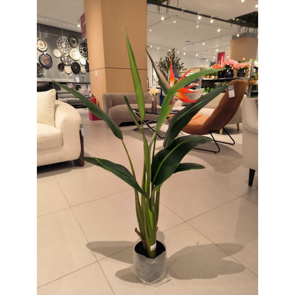 Informa 100cm tanaman artifisial sterilitzia/tanaman hias informa