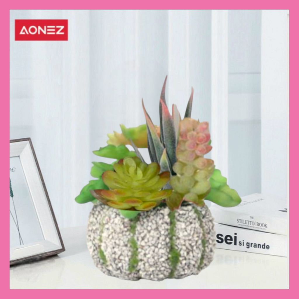 Aonez Pot Bonsi Bunga Hiasan Tanaman Kaktus
