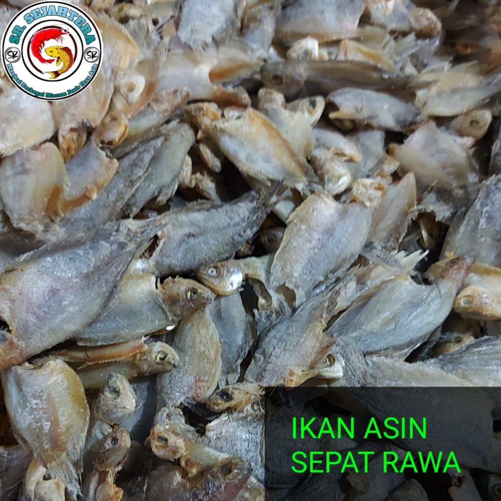 IKAN ASIN SEPAT RAWA / IKAN ASIN SEPAT / IKAN SEPAT /IKAN ASIN