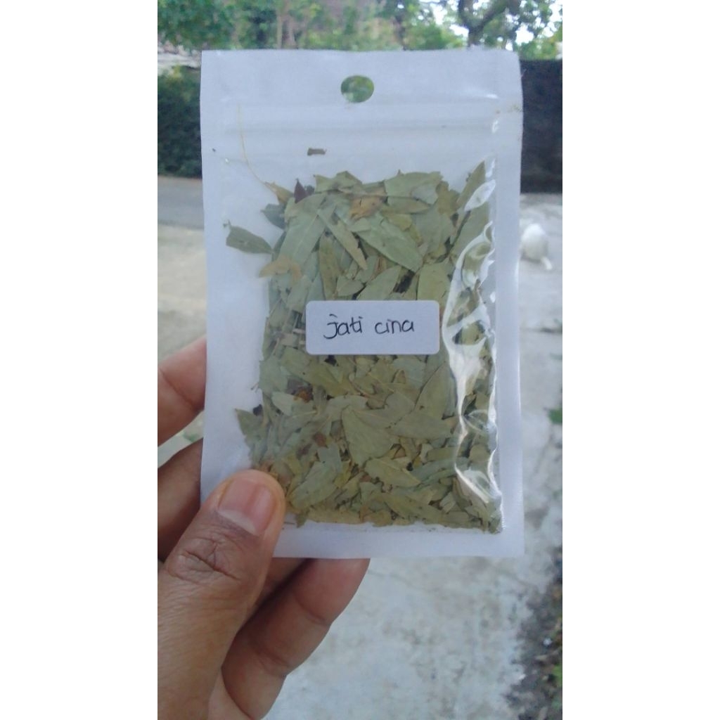 

daun jati cina