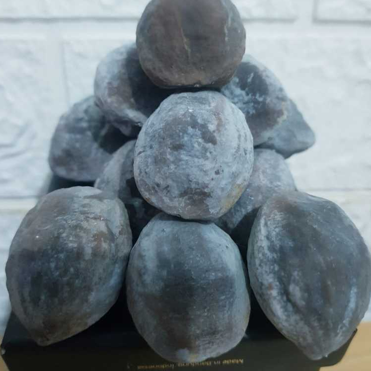 MUNCANG ADU JAWA NAGREG