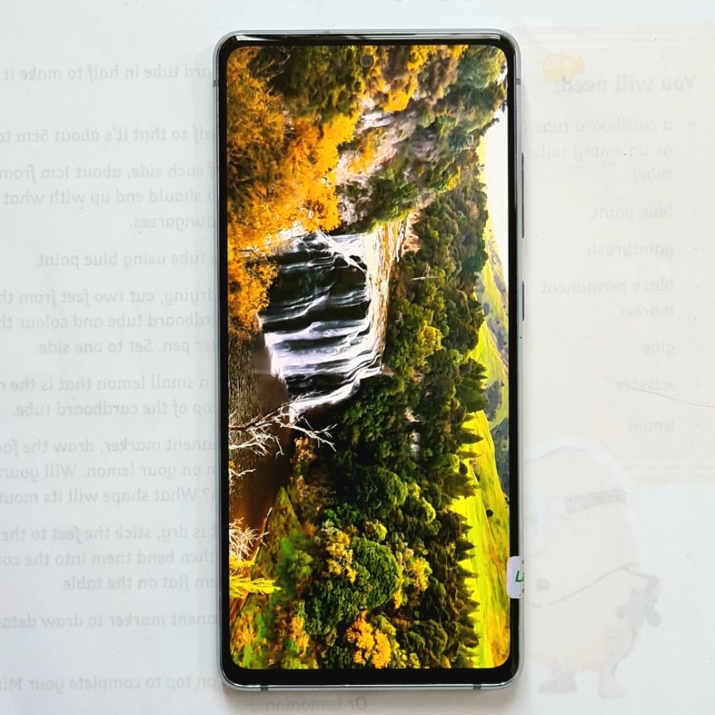 Samsung S20 FE 8/128gb Sein PR1 s20fe