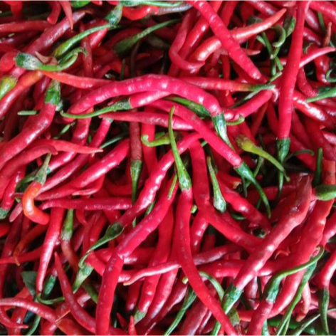 

Cabe Kriting merah | JBP_Fresh
