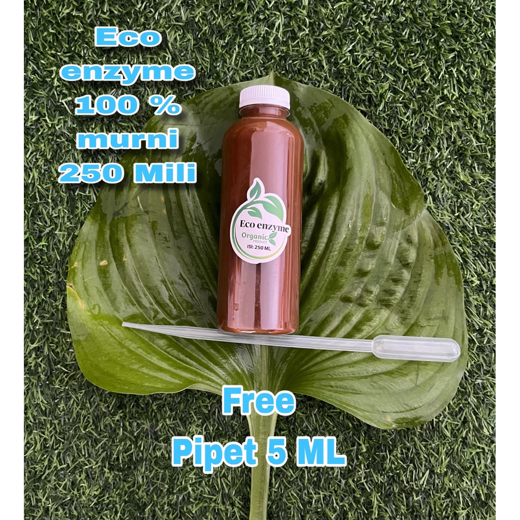 eco enzim eco enzyme murni 250 ML free pipet