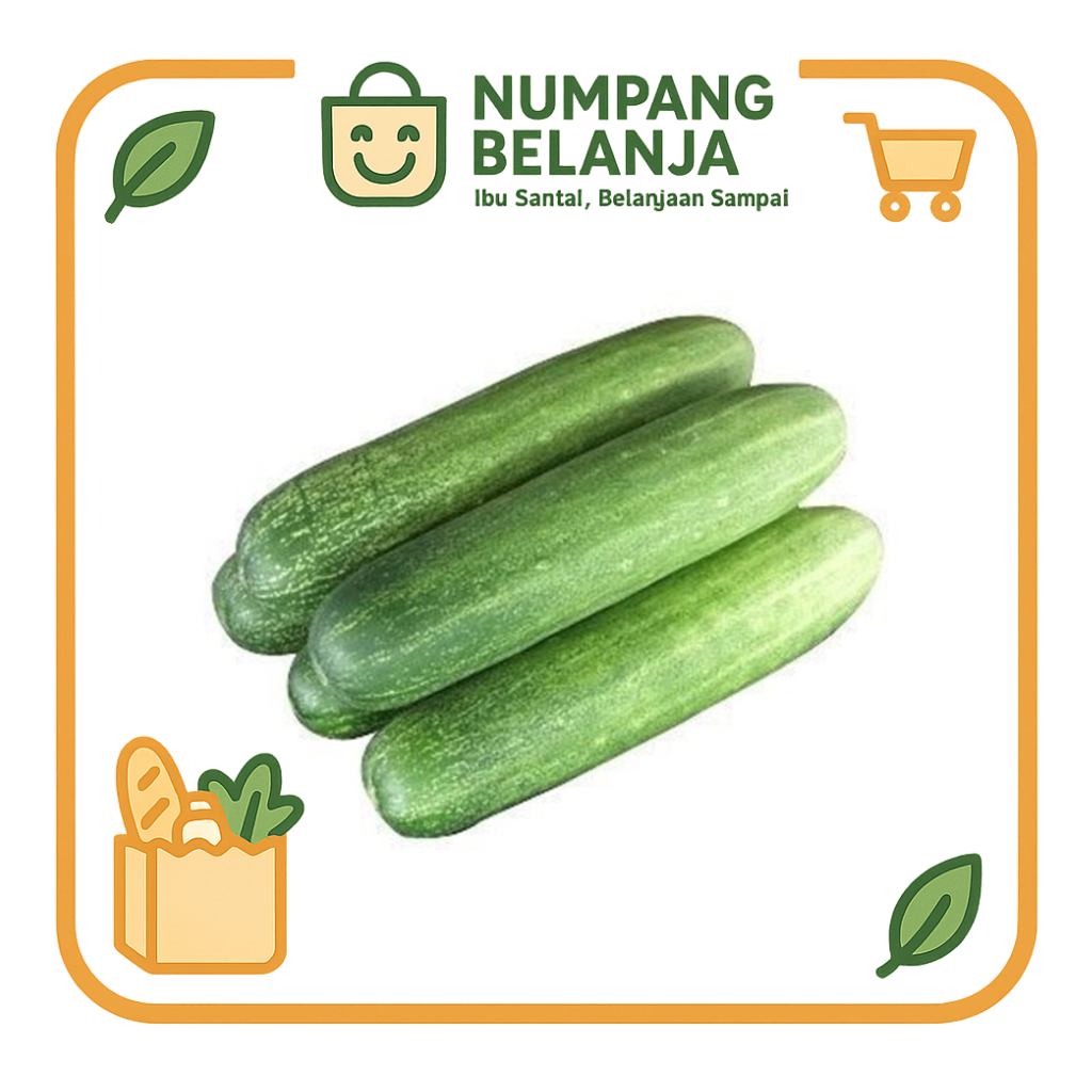 

timun sayur fresh [500g]