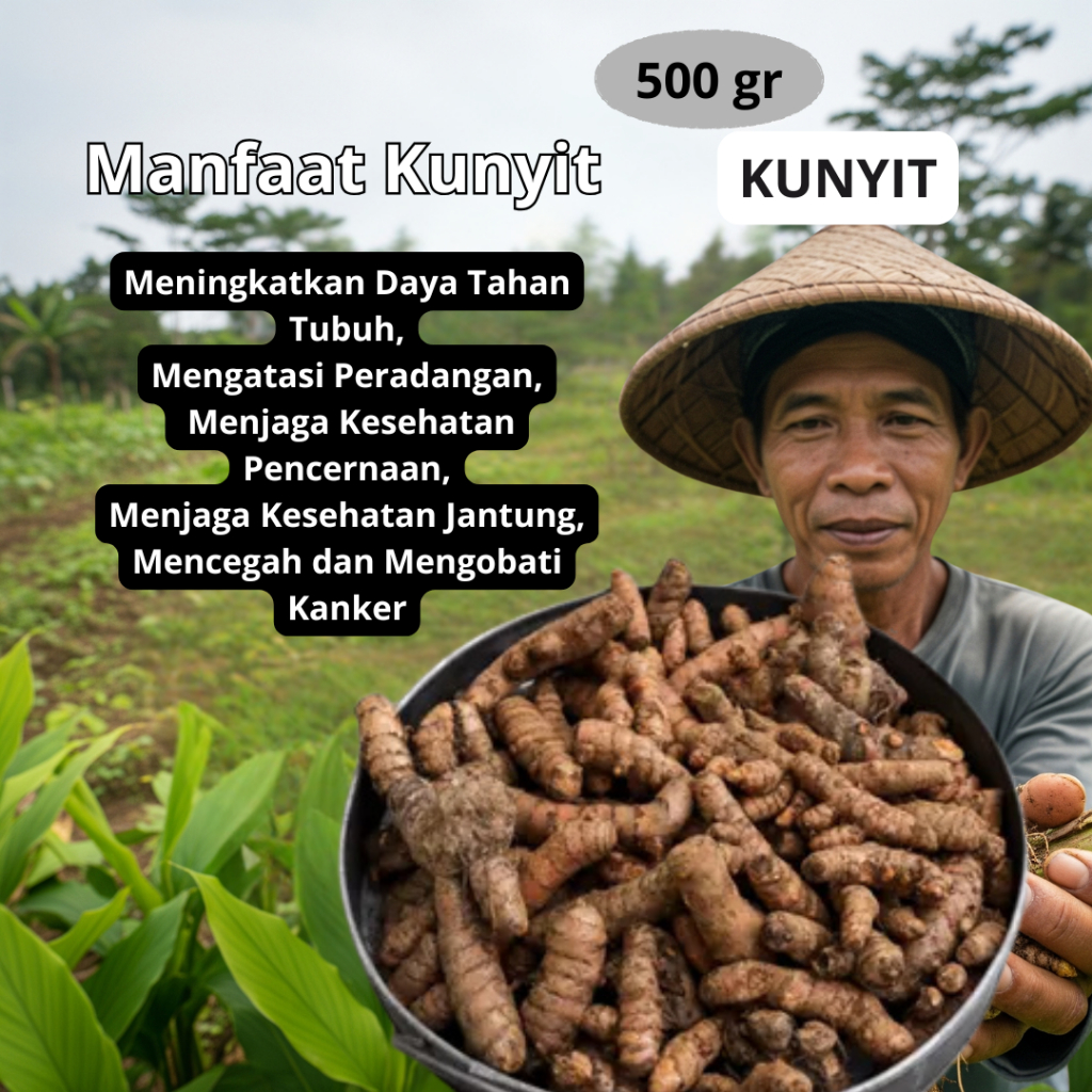 

Kunyit Tua Super Fresh 500gr - 05