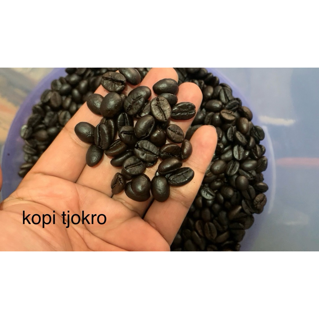 

roast bean robusta arjuno biji besar 250gram