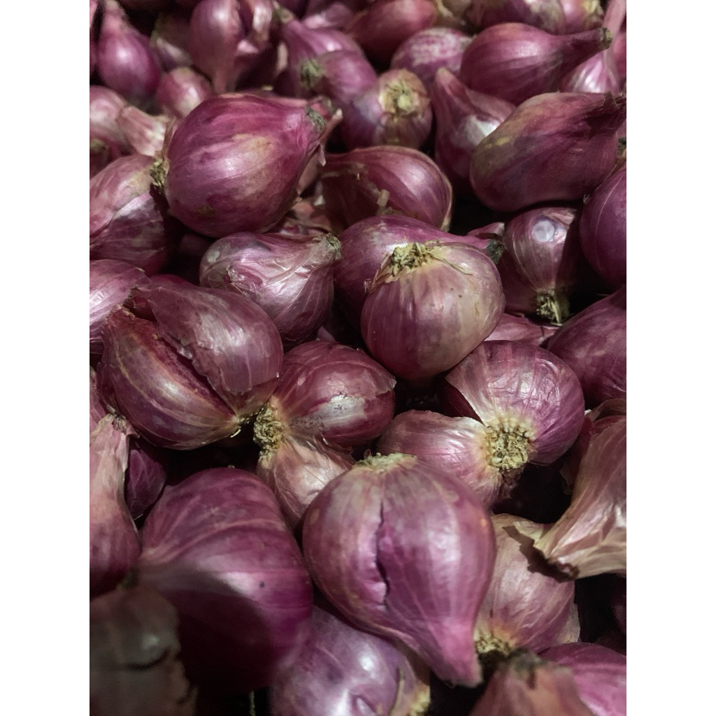 

Bawang Merah kering super size Sedang 500gr