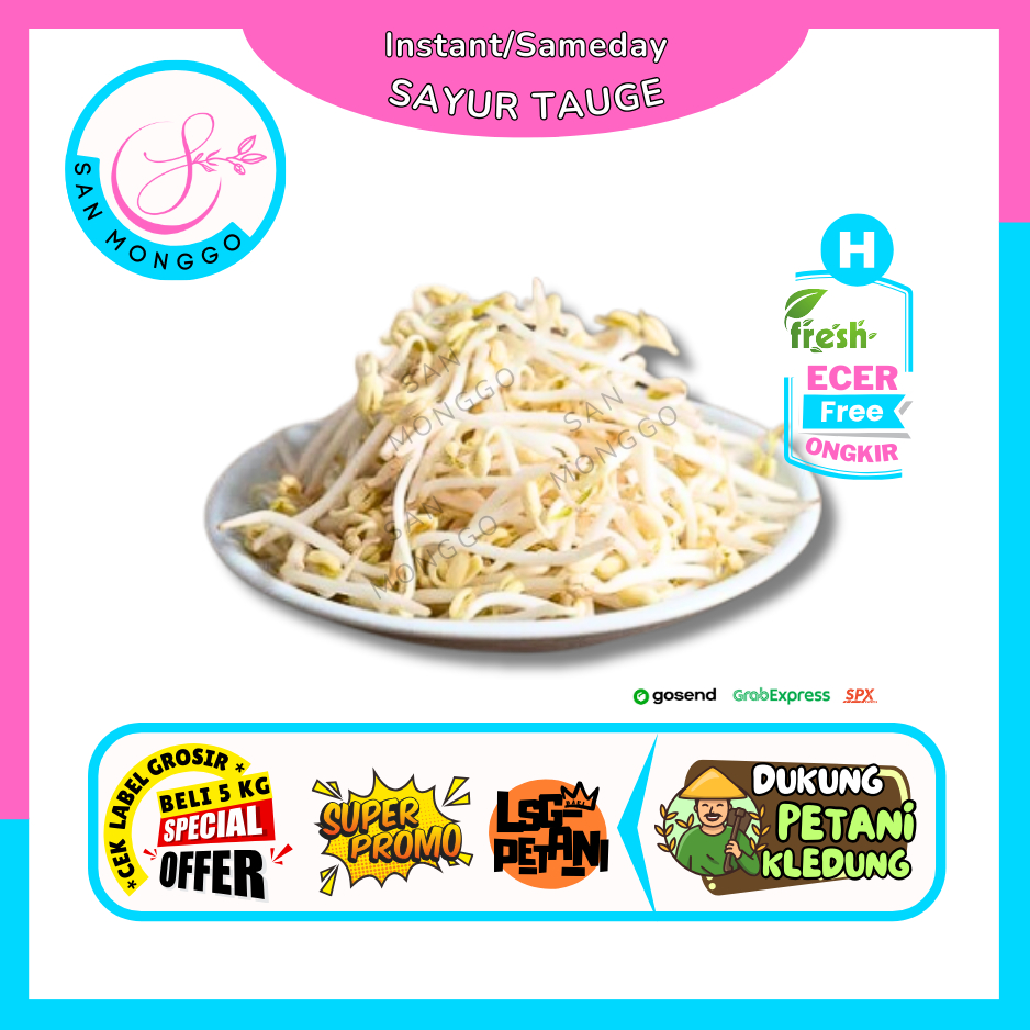 

Sanmonggoo >> Tauge Panjang / Kecambah -- Hasil Bumi Sindoro Sumbing Ecer (H)