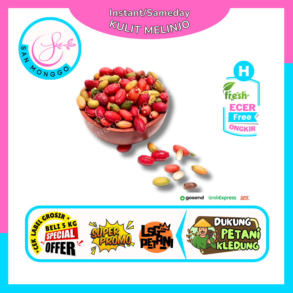 

Sanmonggoo >> Kulit Melinjo