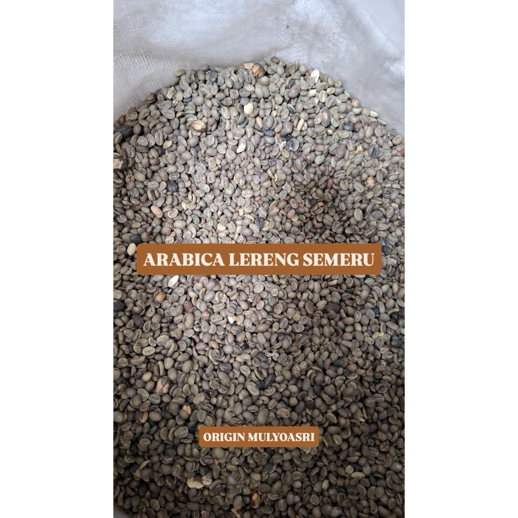 

Green Bean Arabika Lereng Semeru