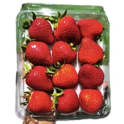 

Buah strawberry import manis segar premium gift pack -+ 400 gram