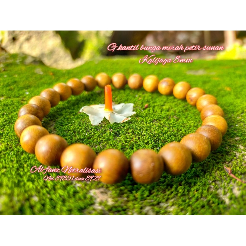gelang galih kantil bunga merah sambar petir sunan Kalijaga