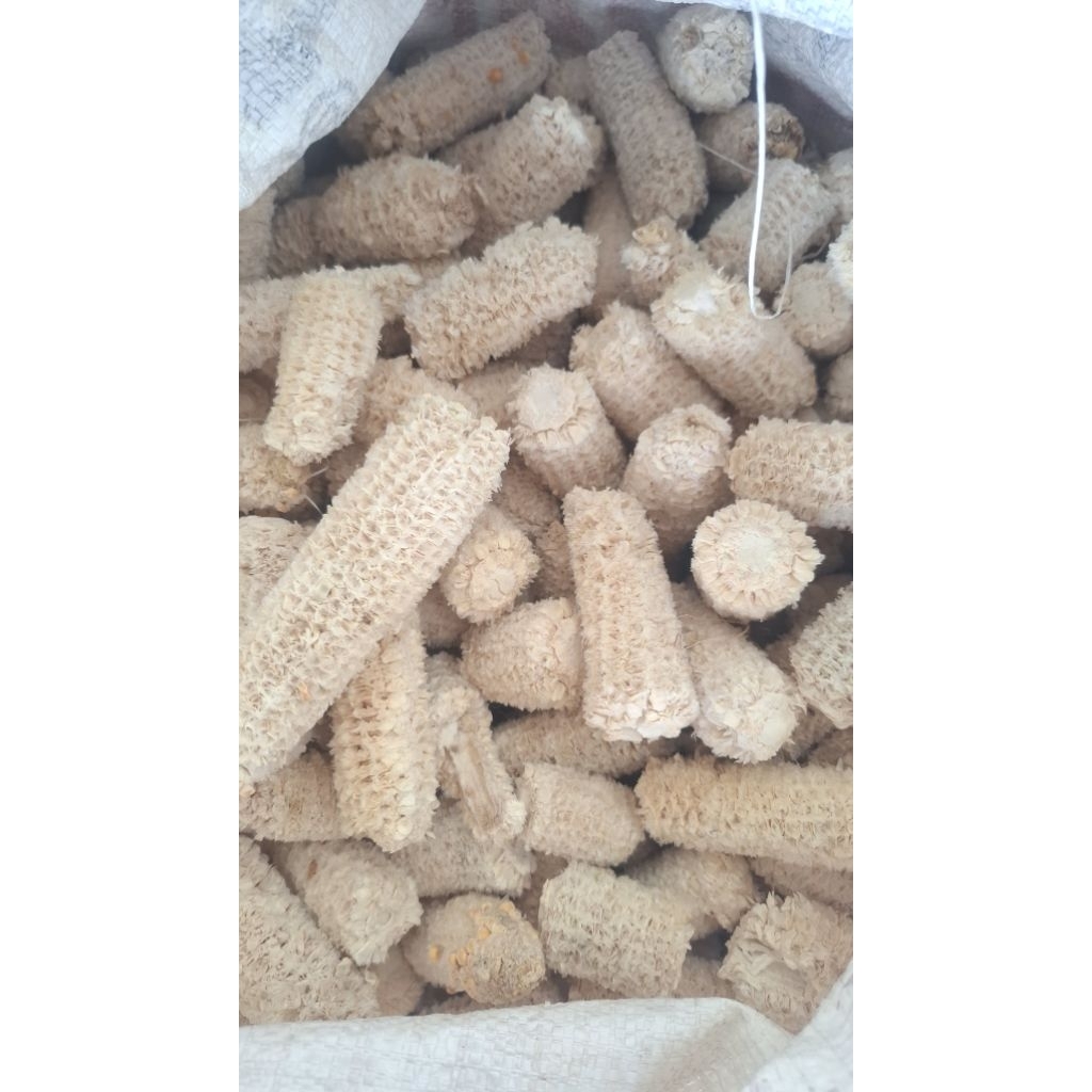 

Bonggol Jagung / Janggel Kering Murah