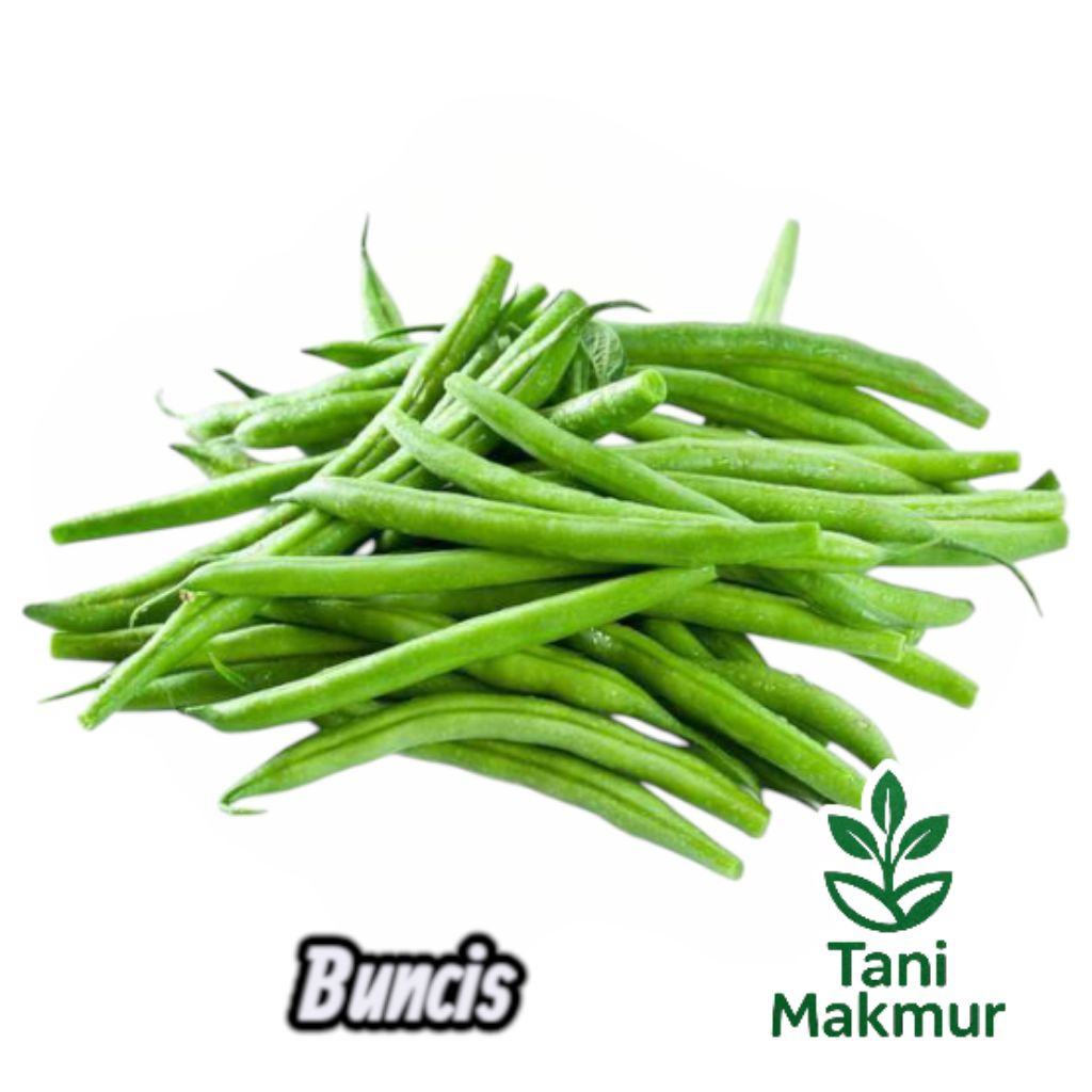 

Bening Sayur Buncis (Phaseolus vulgaris) Kemasan seribuan