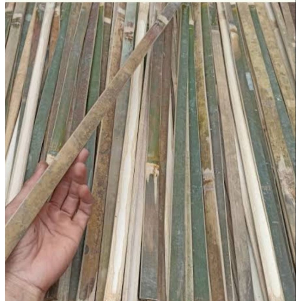 bambu ajir 150cm