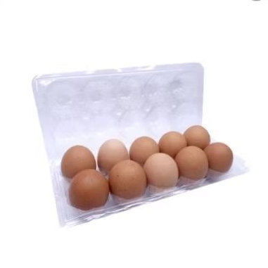 

TELUR AYAM NEGRI 10PCS PACKING 10BUTIR INSTANT 1-2JAM