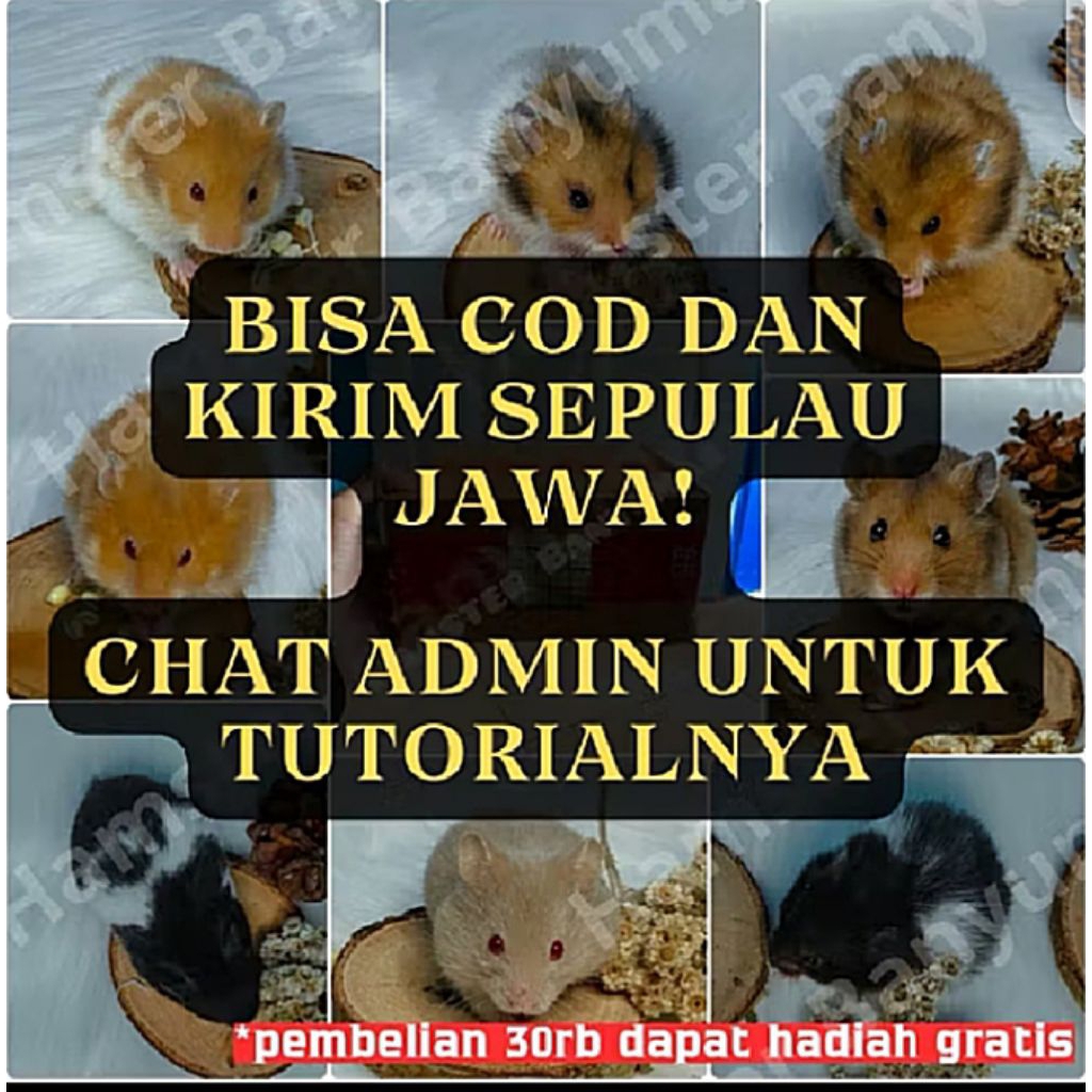 

packinh kardus+semua jenis (pulau jawa)