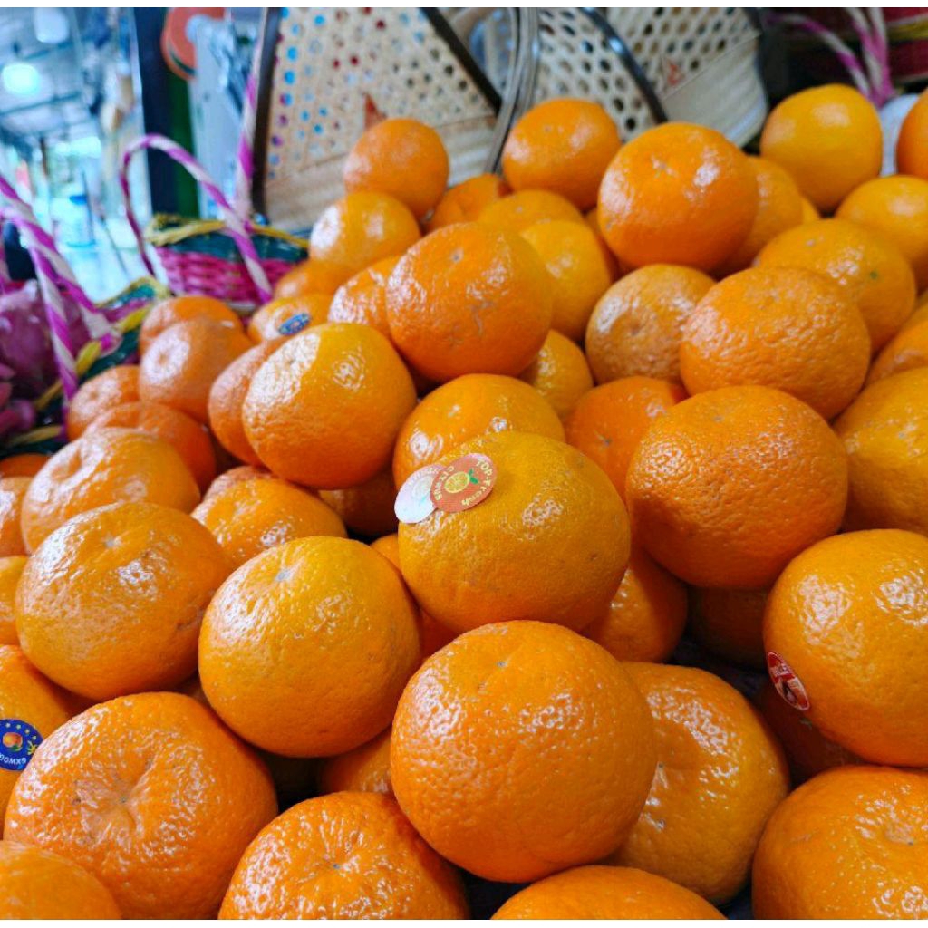 

Jeruk Mandarin Manis