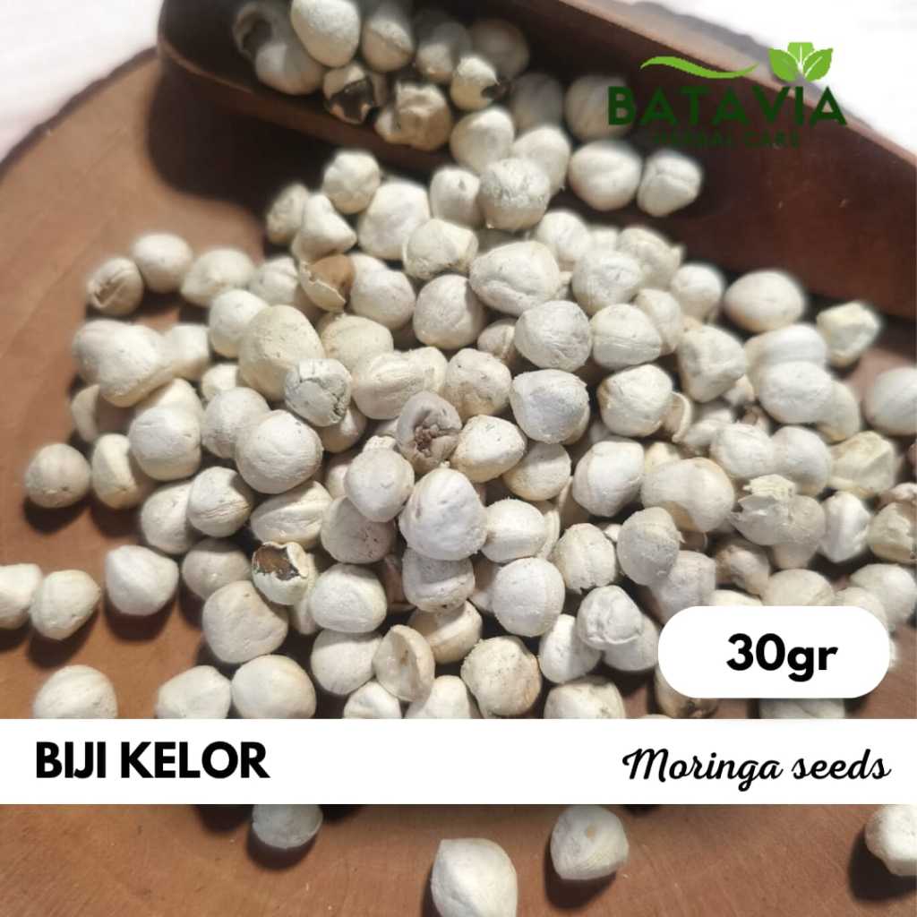 

Biji Kelor Kupas Moringa Seeds Kernel Kelor Premium Herbs Time