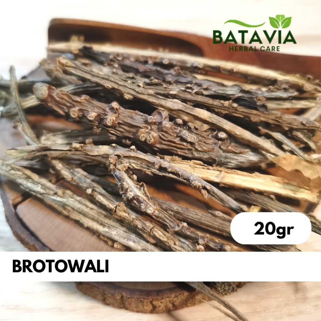 

Brotowali Kering Slice Panjang Premium Herbs Time - 20gr